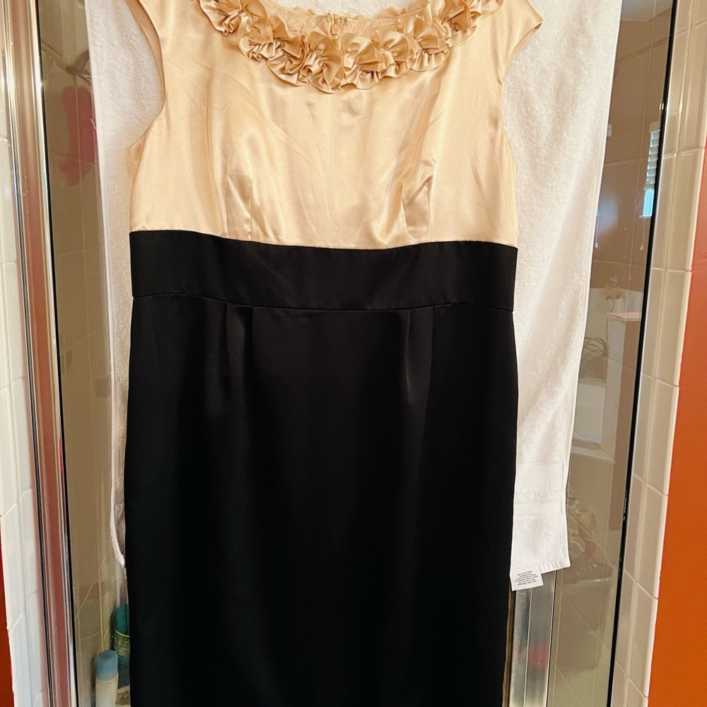 Lovely, gorgeous dress. Sise 14W